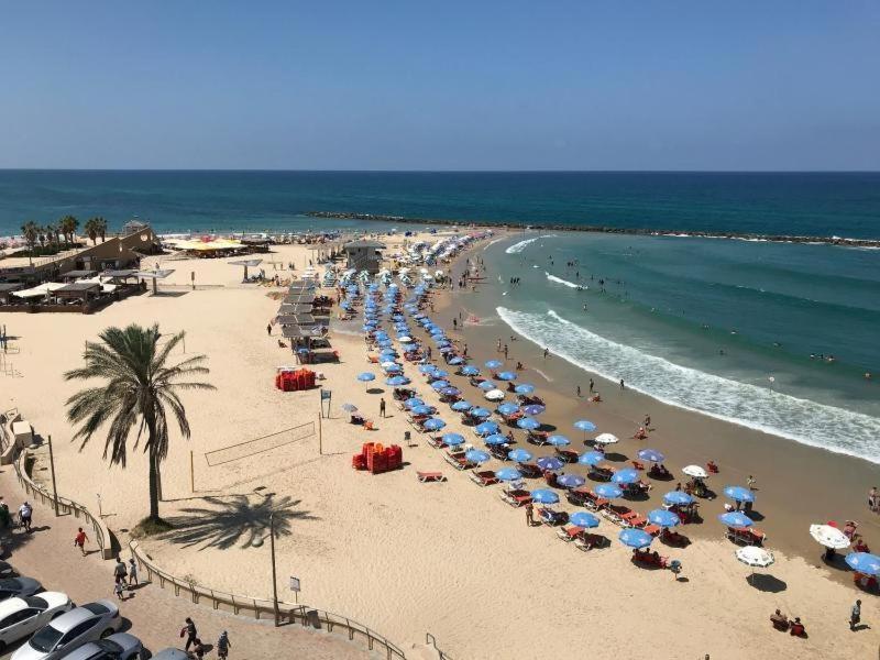 Romy Suites Deluxe Netanya Exteriör bild